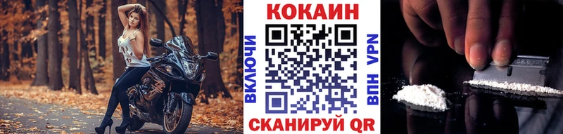 Cocaine FishScale купить Шахунья