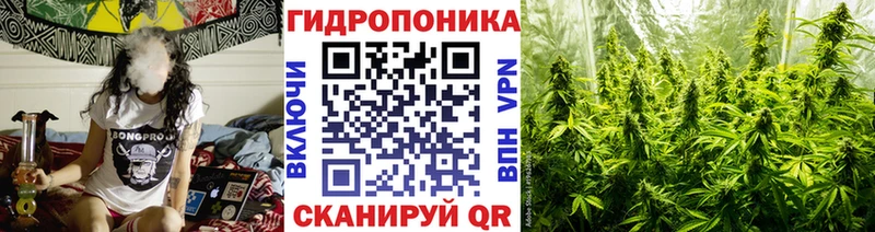 МАРИХУАНА планчик Шахунья